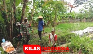 Antisipasi Banjir, Babinsa dan Warga Bersihkan Saluran Air