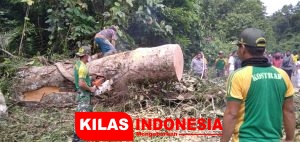 Prajurit TNI Bersihkan Pohon Tumbang di Jalan Perbatasan RI-PNG
