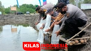 Lanal TBA Bersama Unsur Forkopimda Tebar Benih Udang Diposal Bandar Khalifah