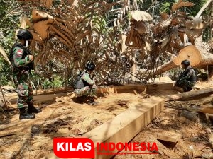 Satgas Pamtas Yonif 642/Kapuas Amankan Kayu Ilegal