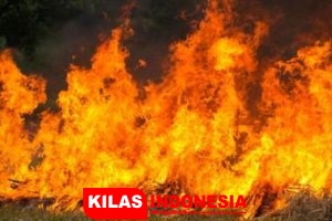 Polisi Beberkan Dugaan Sementara Penyebab Kebakaran Kantor BPOM