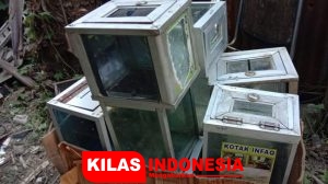 Densus 88 Sita Ribuan Kotak Amal Untuk Dana Terorisme