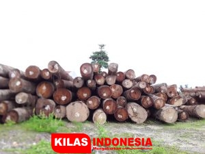 Perusahaan Kayu di Desa Wailoba Terancam Ditutup, Ini Penyebabnya